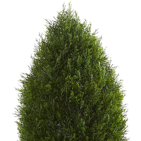 5ft. Potted Cypress Tree